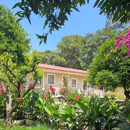 Orange Beach Camp Белдиби Екстериор снимка