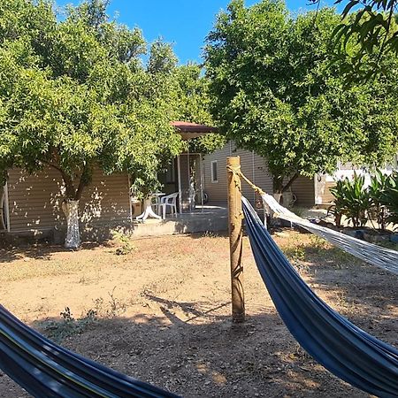 Orange Beach Camp Белдиби Екстериор снимка