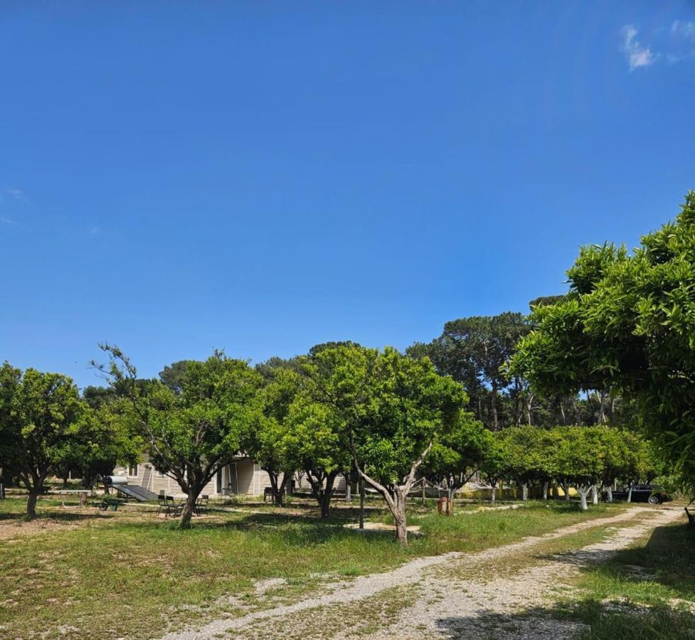 Orange Beach Camp Белдиби Екстериор снимка