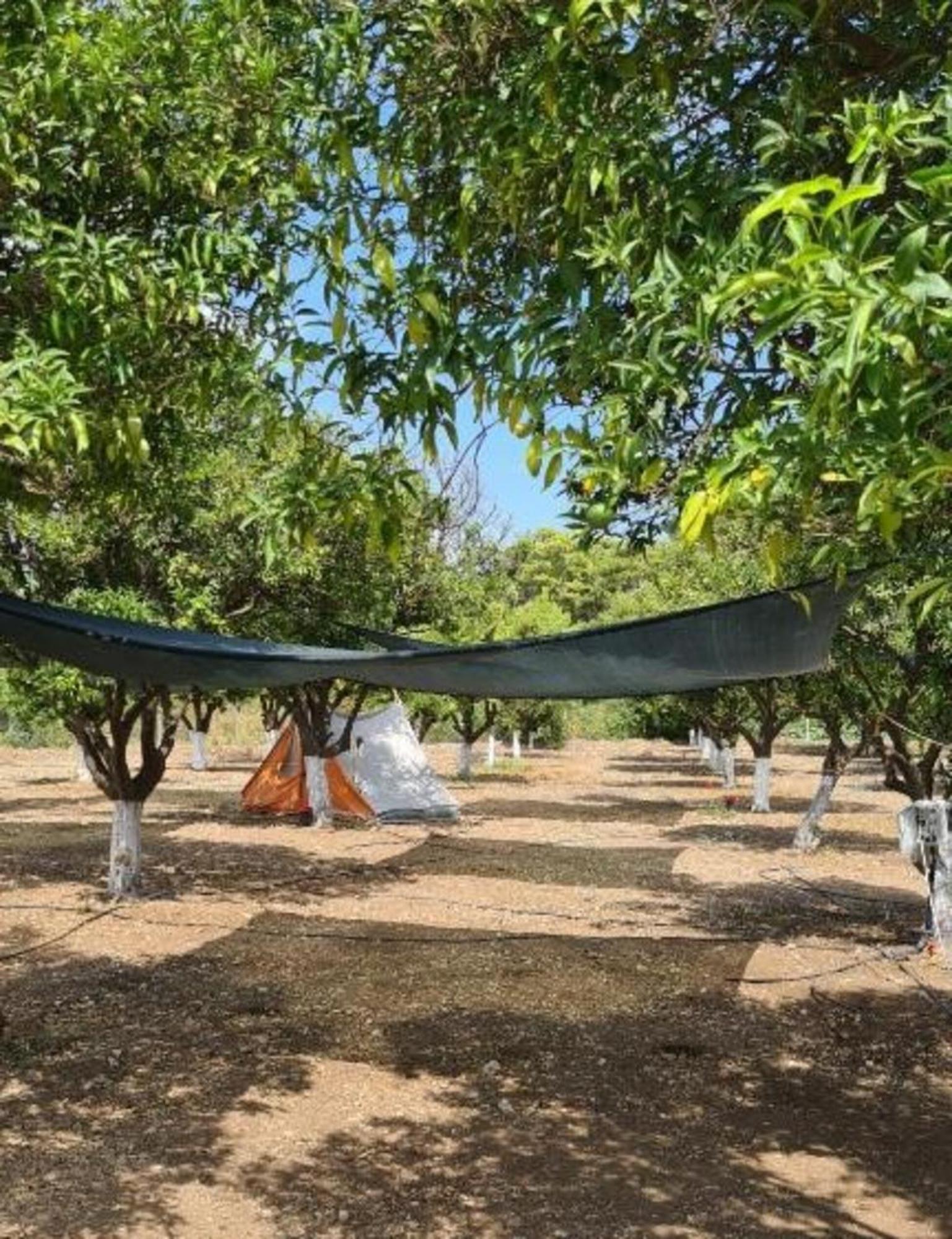 Orange Beach Camp Белдиби Екстериор снимка