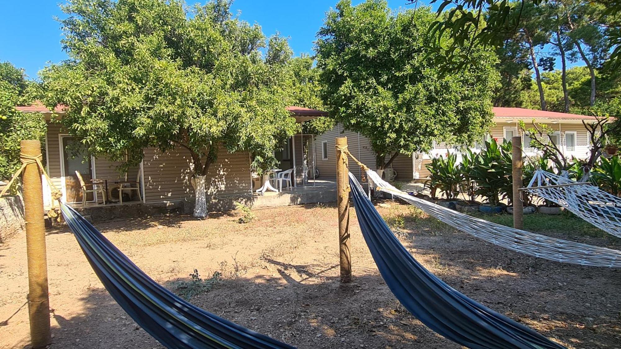 Orange Beach Camp Белдиби Екстериор снимка